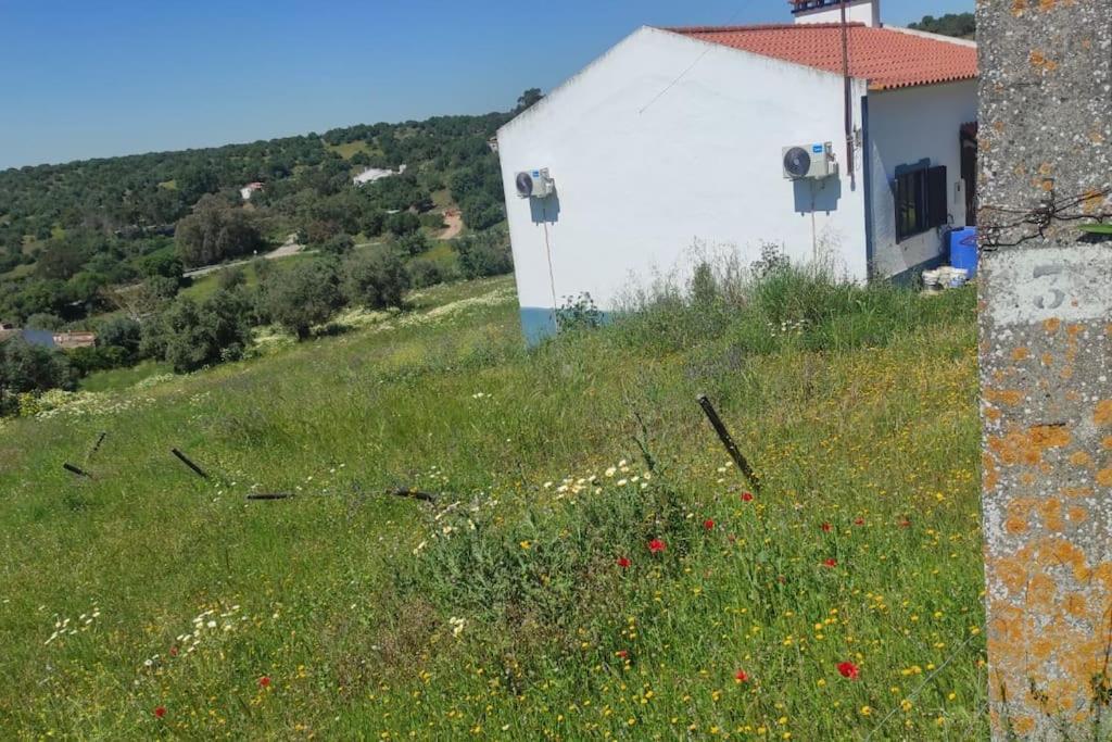 Nova Quinta Moderna Torramo Em Oliveiras, Campo De Laranjas, Na Nacional 2, Alentejo 13750 M2 Villa Torrao  Exterior photo
