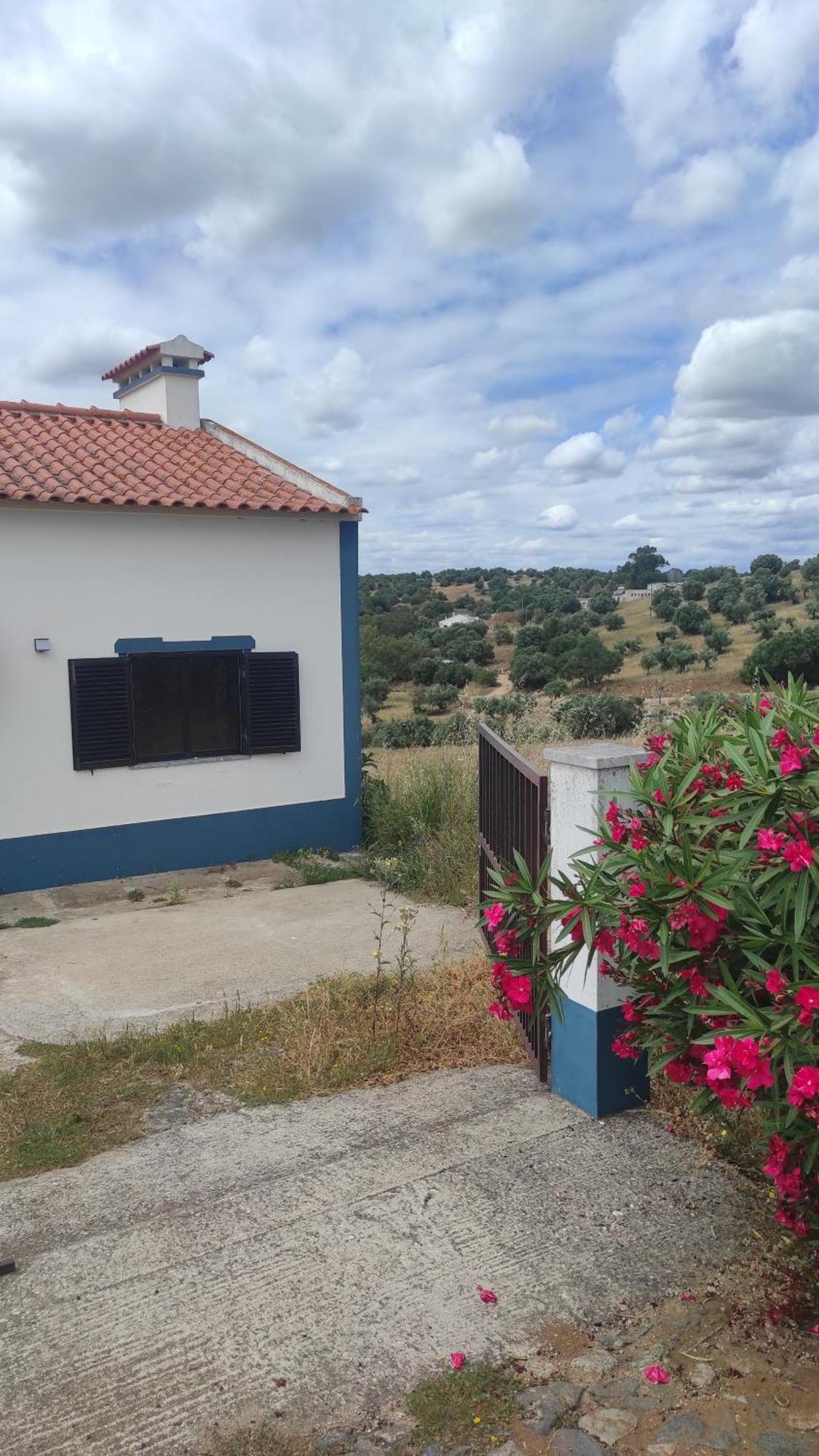 Nova Quinta Moderna Torramo Em Oliveiras, Campo De Laranjas, Na Nacional 2, Alentejo 13750 M2 Villa Torrao  Exterior photo